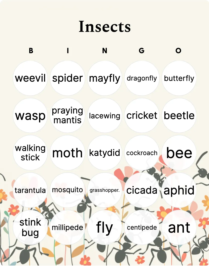 Insects bingo card template