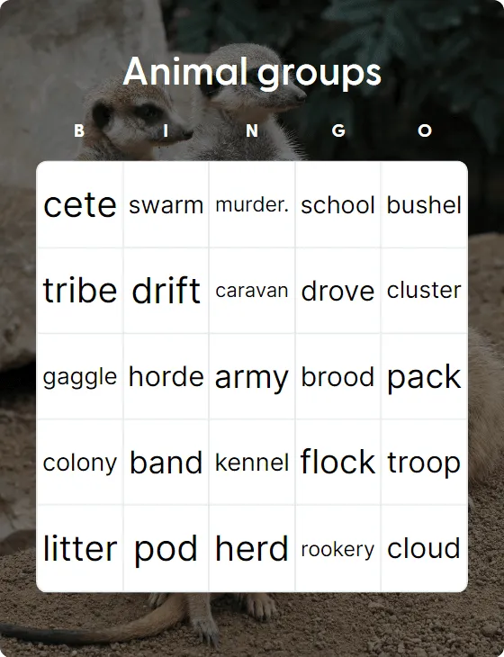 Animal groups bingo