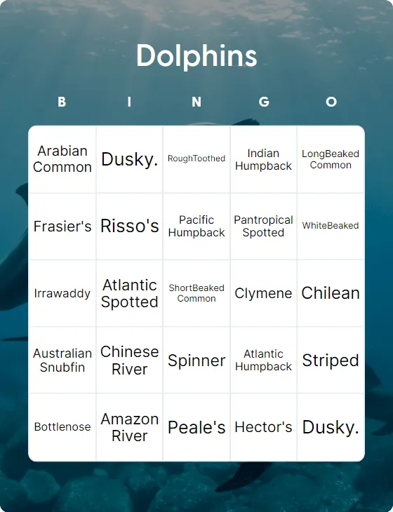 Dolphins bingo