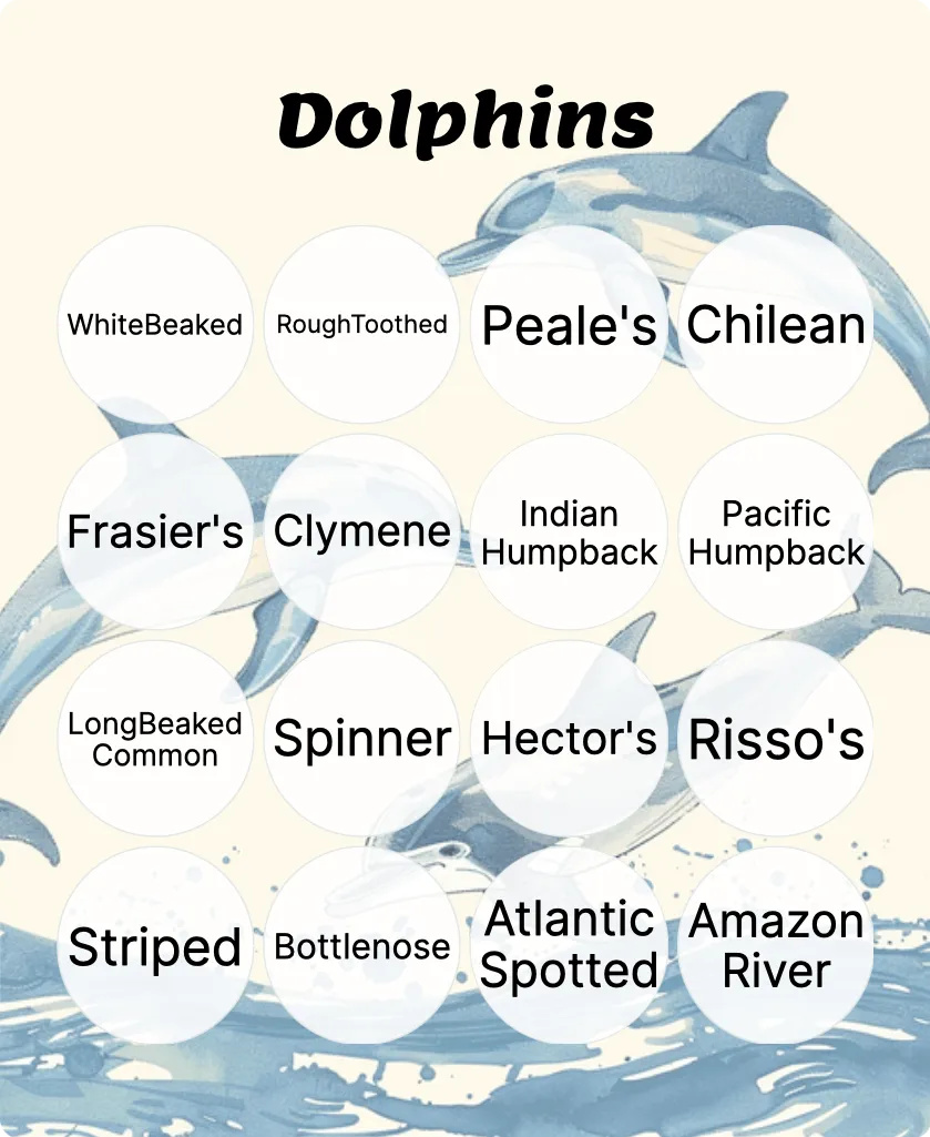 Dolphins bingo card template