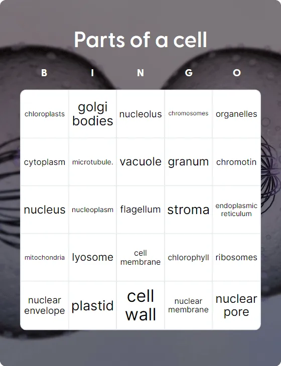 Parts of a cell bingo