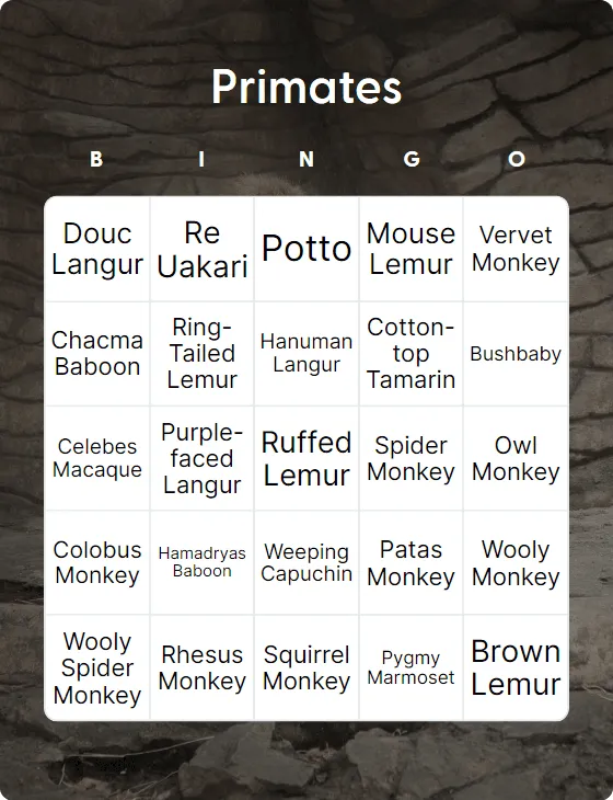 Primates bingo