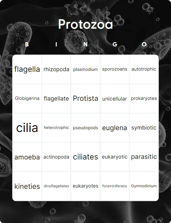 Protozoa bingo