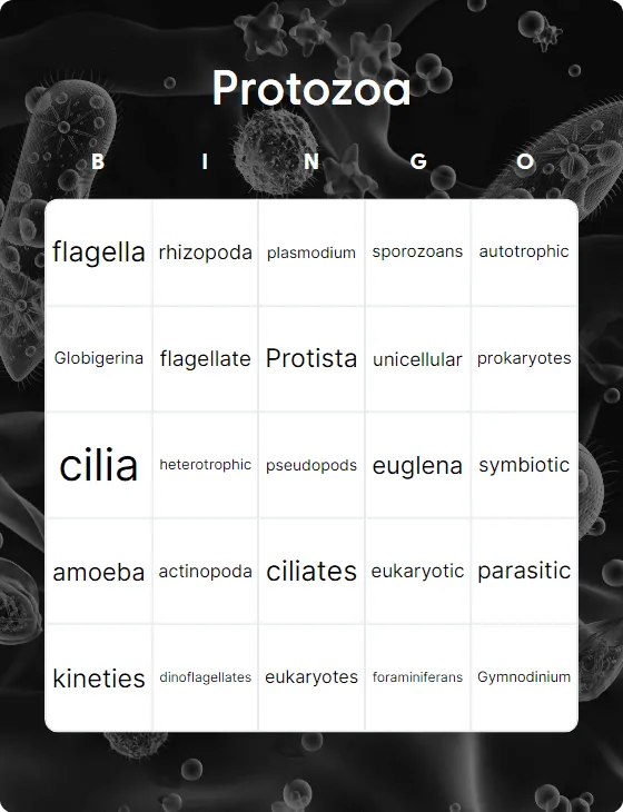 Protozoa