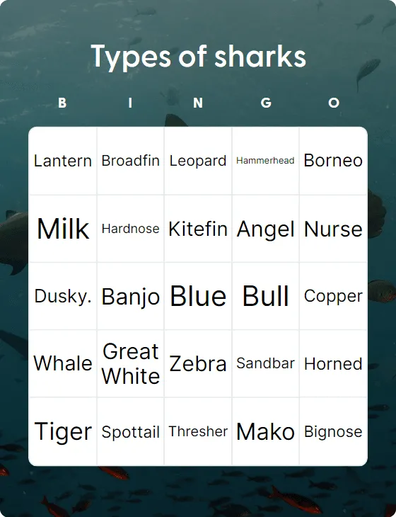 Types of sharks bingo