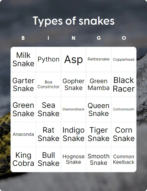 Types of snakes bingo