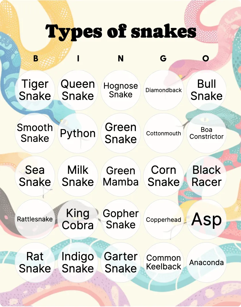 Types of snakes bingo card template