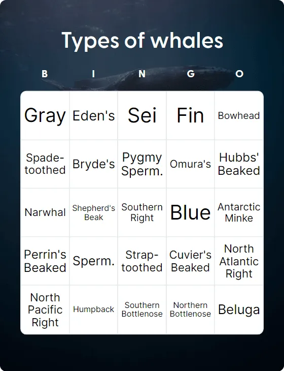 Types of whales bingo