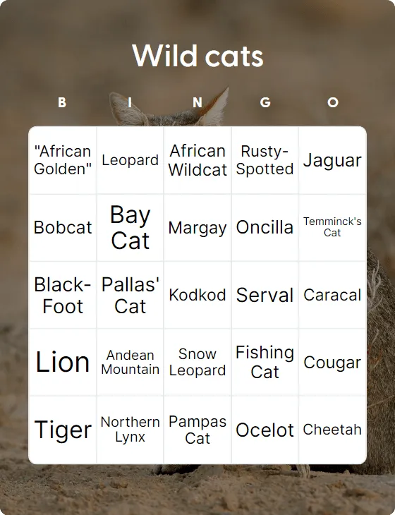 Wild cats bingo