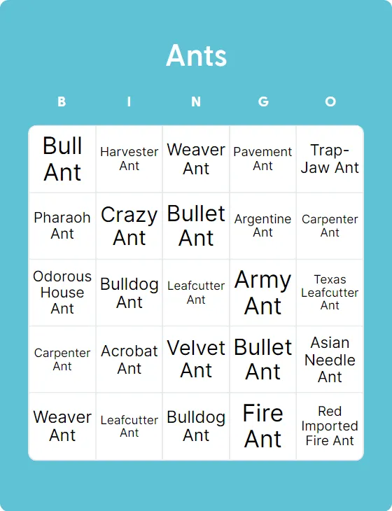 Ants bingo
