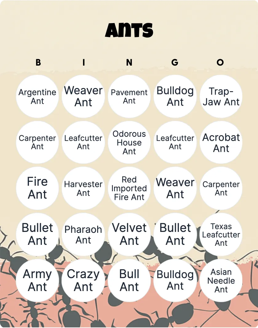 Ants bingo card template