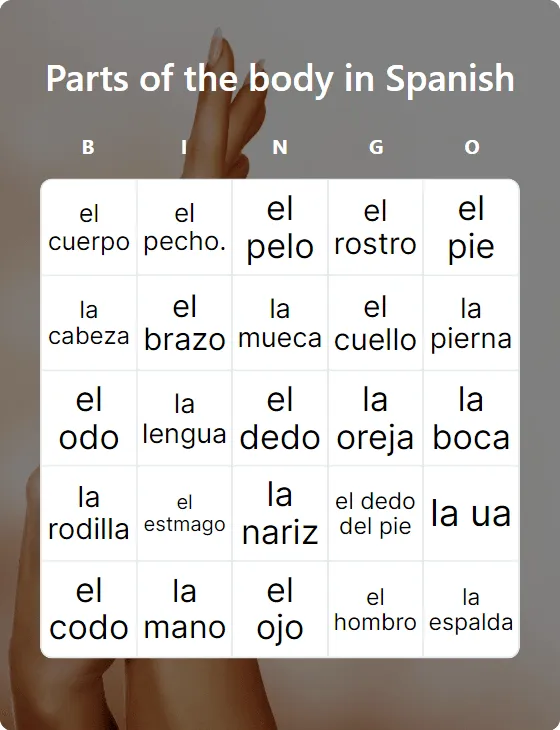 Parts of the body in Spanish bingo
