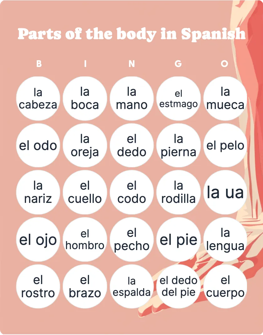 Parts of the body in Spanish bingo