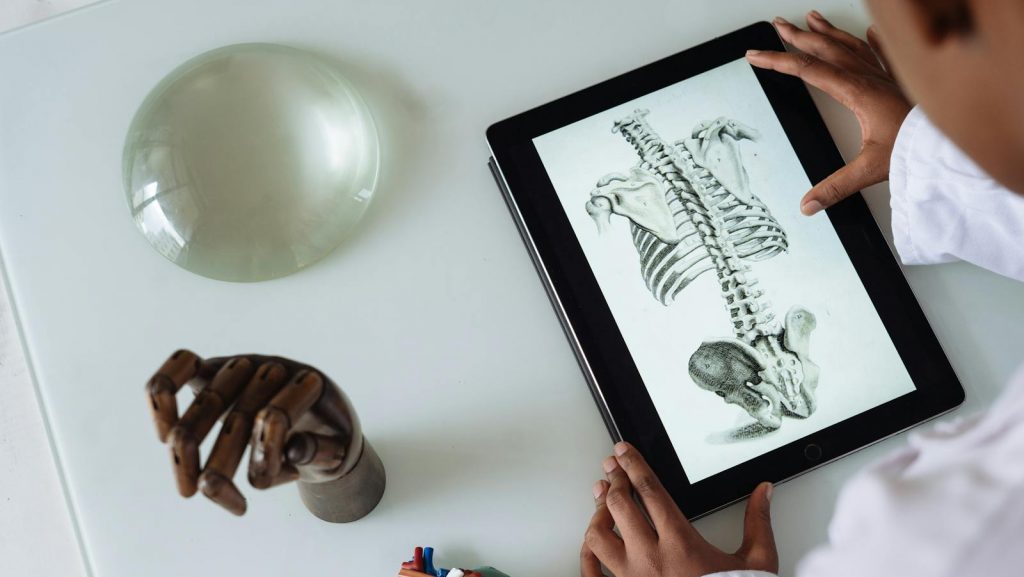 Unrecognizable African American scientist studying anatomy with tablet