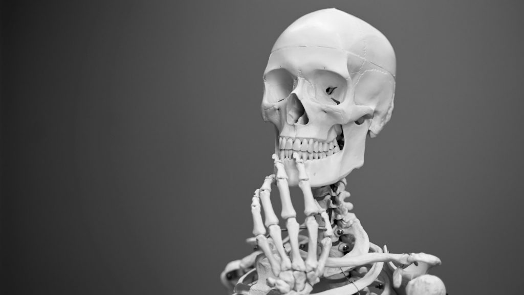 greyscale photography of skeleton