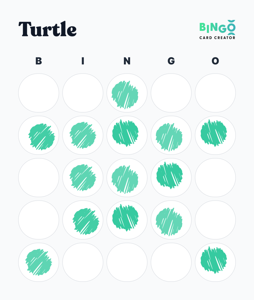 Turtle Bingo Pattern