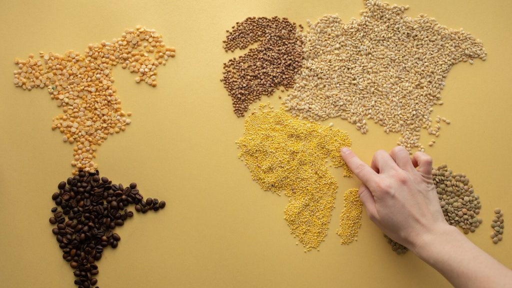 Top view of crop unrecognizable traveler making world continents with assorted grains and coffee beans on yellow background in room